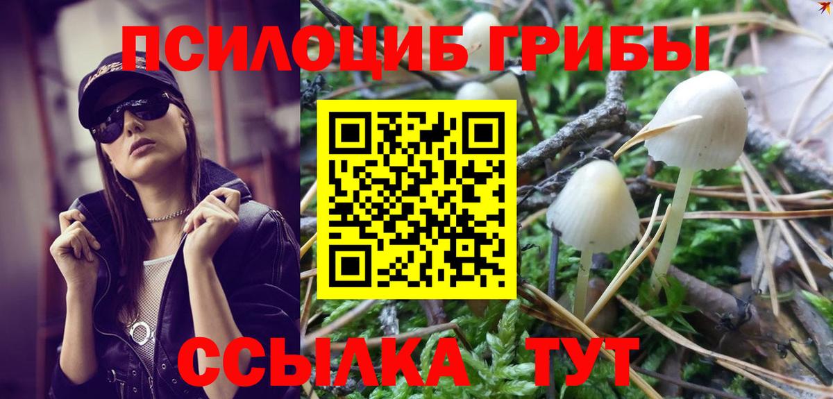 Псилоцибиновые грибы MAGIC MUSHROOMS  закладки  Галлюциногенные грибы мицелий  Камень-на-Оби  Вход с VPN 